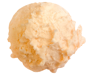 Melon
